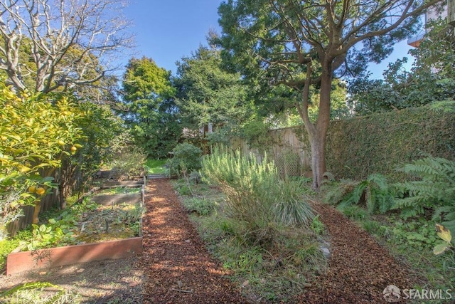 view of yard with a garden and fence