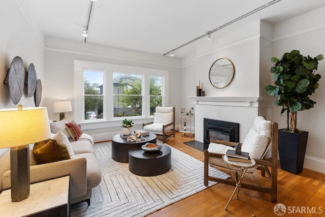 living room with wood finished floors, baseboards, a brick fireplace, rail lighting, and crown molding