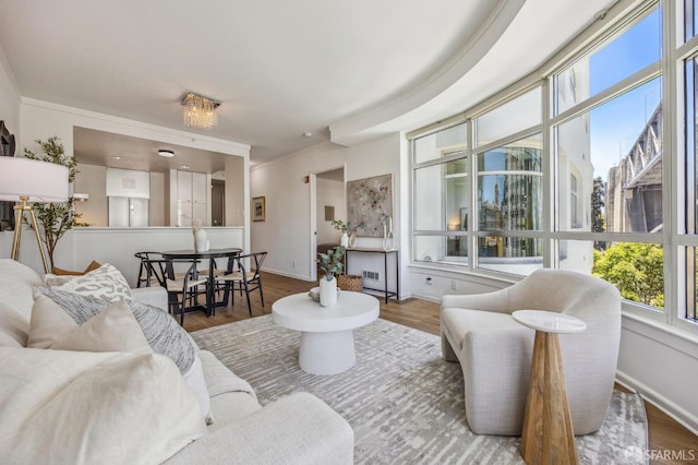 living room featuring hardwood / wood-style floors