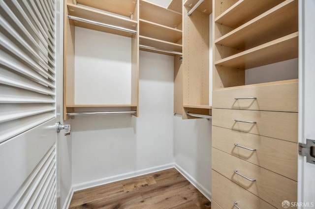 walk in closet featuring wood-type flooring