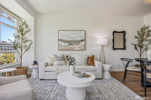 living room featuring crown molding and hardwood / wood-style floors