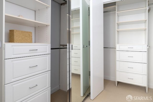 spacious closet with light colored carpet