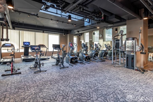 gym featuring carpet flooring