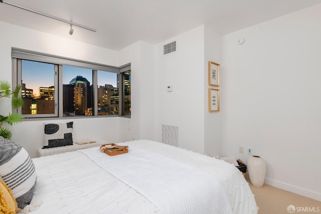 bedroom featuring rail lighting and carpet flooring