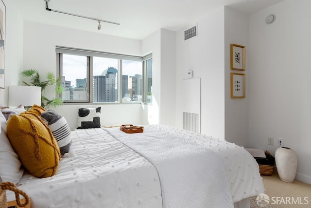 bedroom with rail lighting and carpet floors