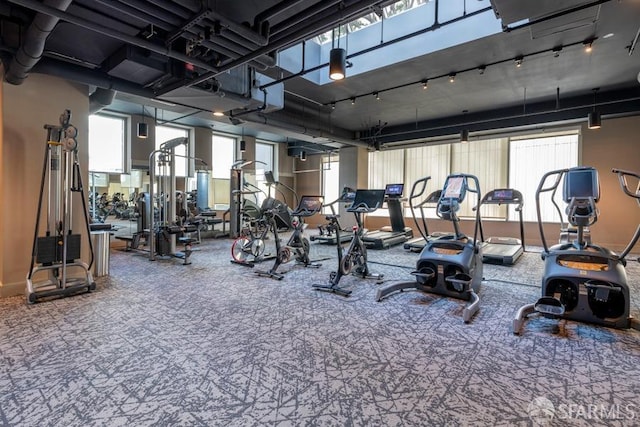 gym with carpet and rail lighting