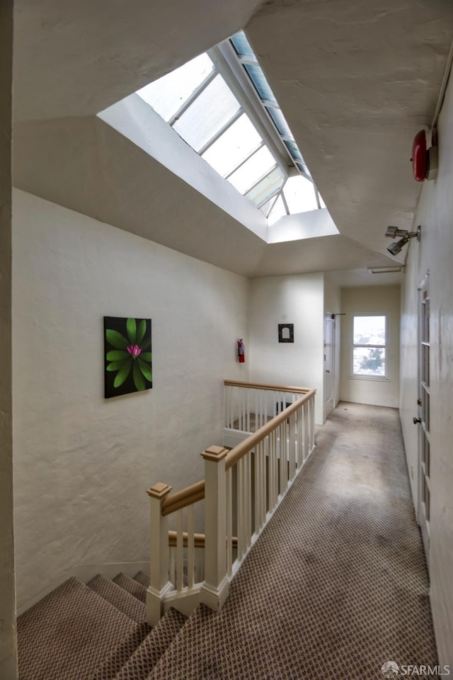 hallway with carpet flooring and vaulted ceiling with skylight