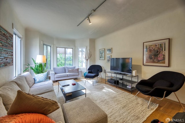 living room with wood-type flooring and rail lighting