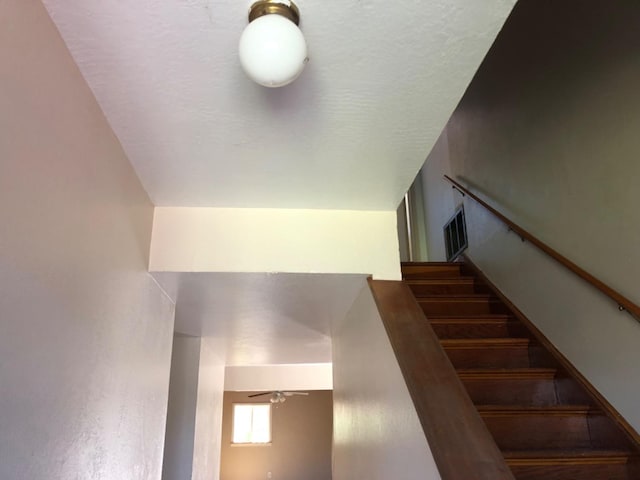 8896 Kelsey Dr, Elk Grove, CA 95624 - photo 35