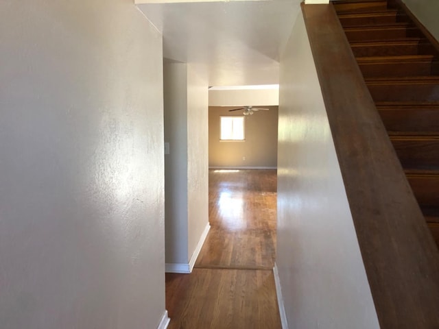 8896 Kelsey Dr, Elk Grove, CA 95624 - photo 36