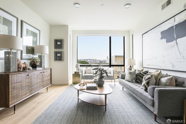 living room featuring light hardwood / wood-style flooring