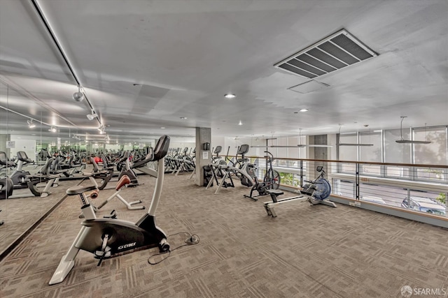 gym with carpet floors