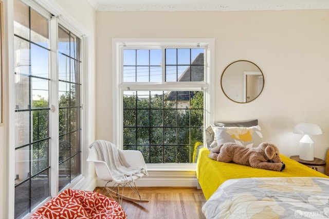 bedroom with hardwood / wood-style floors