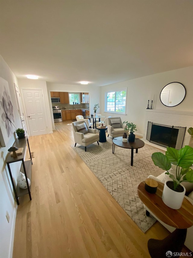 living room featuring light wood-style flooring and a fireplace