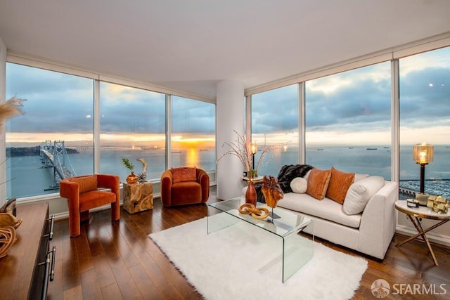 living room with a wealth of natural light, dark hardwood / wood-style flooring, and a water view