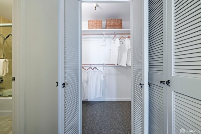 view of closet