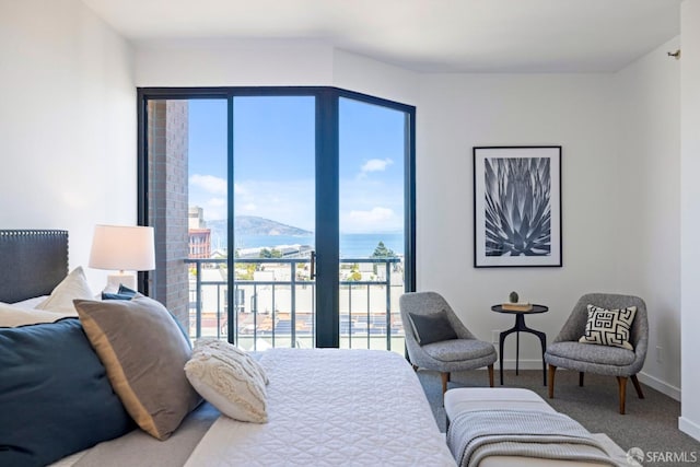 bedroom featuring multiple windows, access to exterior, and carpet floors