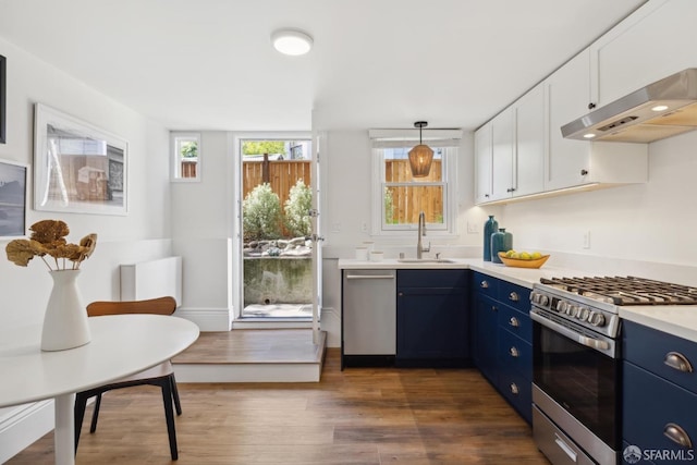 kitchen featuring blue cabinetry, stainless steel appliances, under cabinet range hood, and a sink