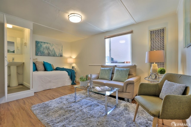 living room with wood-type flooring