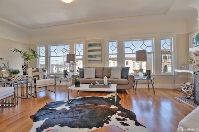 living room featuring light hardwood / wood-style flooring