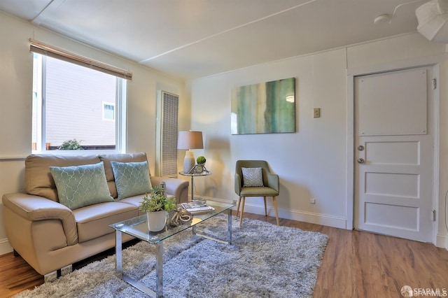 living room featuring hardwood / wood-style flooring