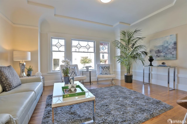 living room featuring wood-type flooring and ornamental molding