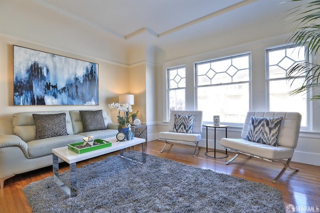 living room with a healthy amount of sunlight and dark hardwood / wood-style flooring