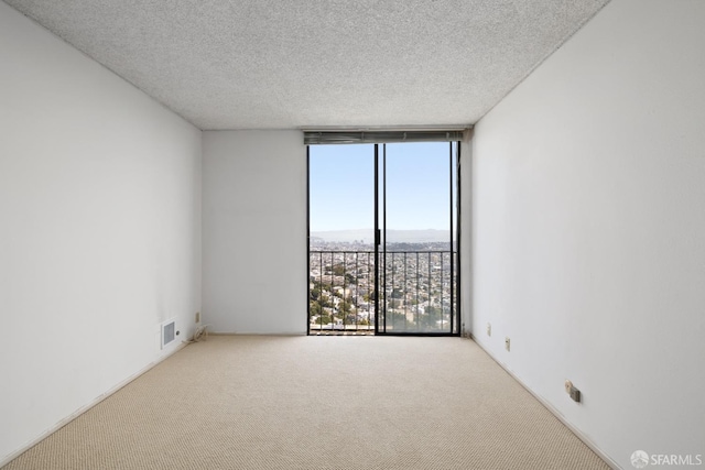 spare room featuring light carpet, a textured ceiling, and floor to ceiling windows