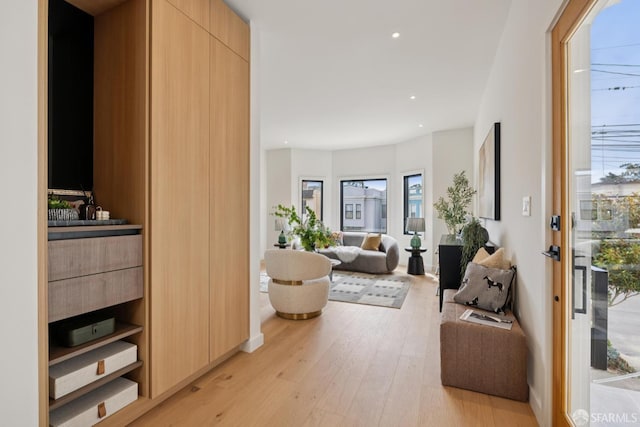 738 Athens St, San Francisco, CA 94112 - living room featuring light wood-style flooring and recessed lighting
