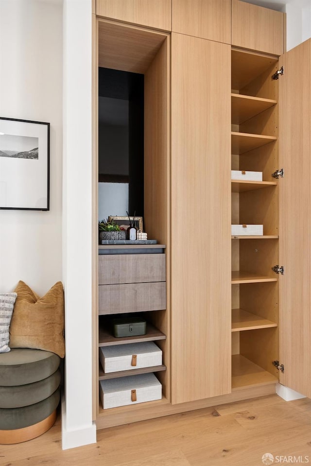 738 Athens St, San Francisco, CA 94112 - view of closet