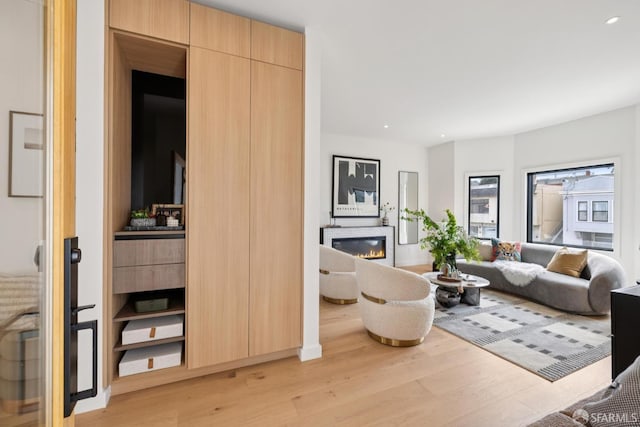 738 Athens St, San Francisco, CA 94112 - living room featuring light wood-type flooring, a glass covered fireplace, and recessed lighting