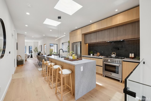 738 Athens St, San Francisco, CA 94112 - kitchen with high end appliances, modern cabinets, a skylight, light brown cabinetry, and light wood finished floors