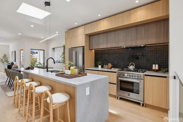 738 Athens St, San Francisco, CA 94112 - kitchen featuring premium appliances, modern cabinets, light wood-style floors, tasteful backsplash, and a skylight