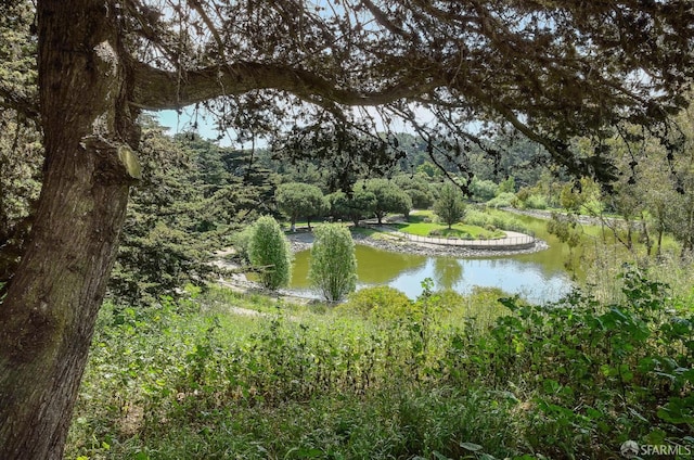 738 Athens St, San Francisco, CA 94112 - water view with a heavily wooded area