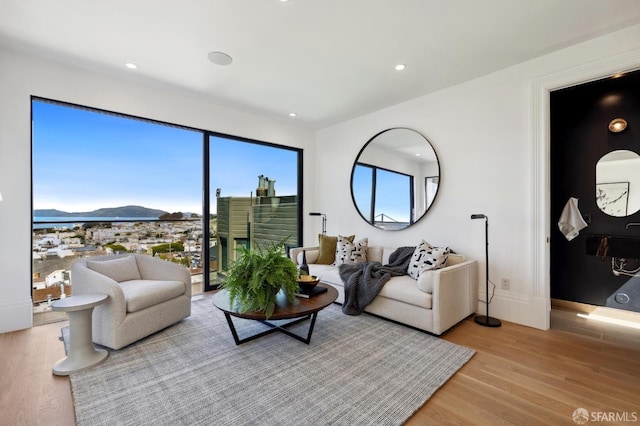 living room with light hardwood / wood-style floors and a mountain view