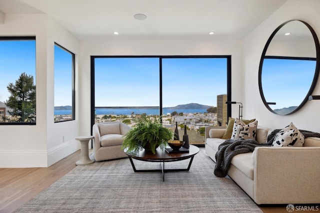 living room with light hardwood / wood-style floors and a mountain view