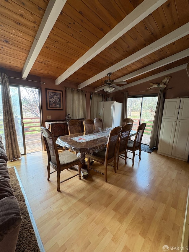 dining space featuring wooden ceiling, ceiling fan, light hardwood / wood-style flooring, and beamed ceiling