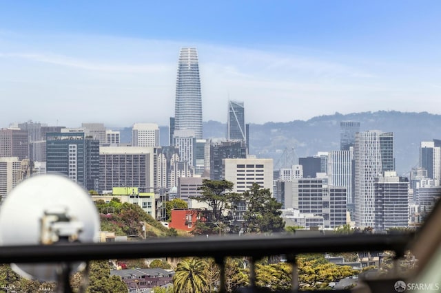 318 Caselli Ave, San Francisco, CA 94114 - view of city