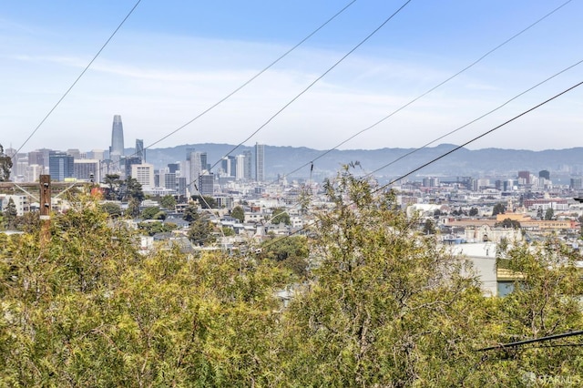 318 Caselli Ave, San Francisco, CA 94114 - view of city with a mountain backdrop