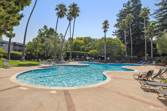 view of swimming pool with a patio