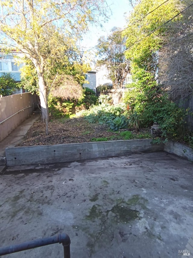 view of yard featuring a patio area