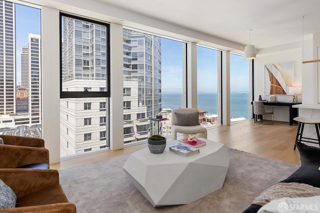 living room featuring wood finished floors and a water view