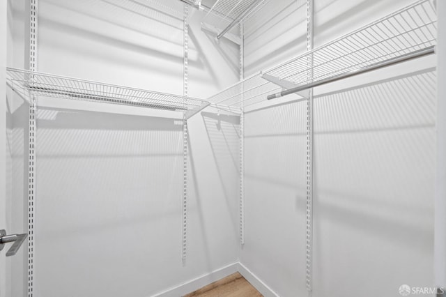 spacious closet featuring wood-type flooring