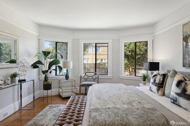 bedroom featuring multiple windows and wood-type flooring