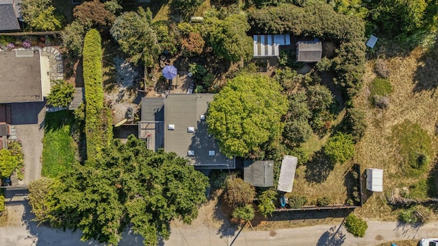 125 Aspen Rd, Bolinas, CA 94924 - photo 65