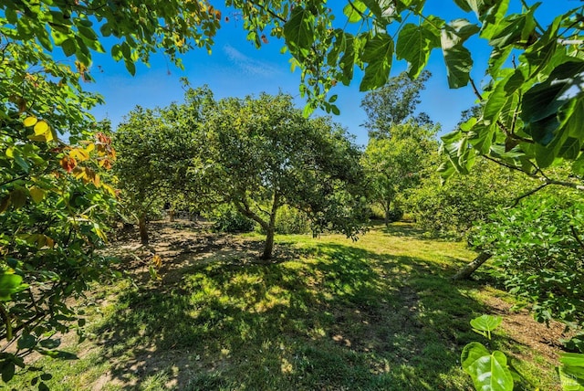 125 Aspen Rd, Bolinas, CA 94924 - photo 39