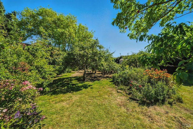 125 Aspen Rd, Bolinas, CA 94924 - photo 47