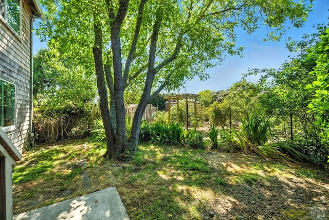 125 Aspen Rd, Bolinas, CA 94924 - photo 37