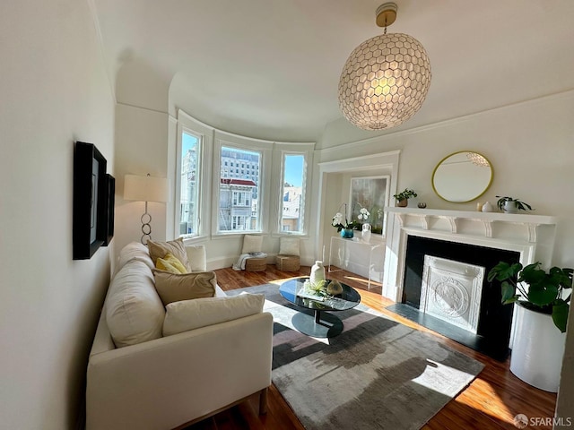 living room featuring wood-type flooring