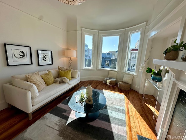 living room with wood-type flooring